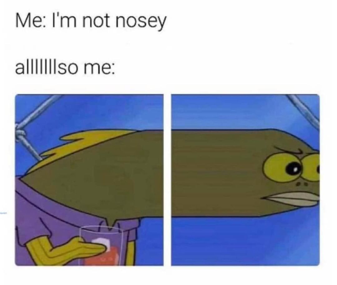 Me: I'm not nosey. Alllllllso me: