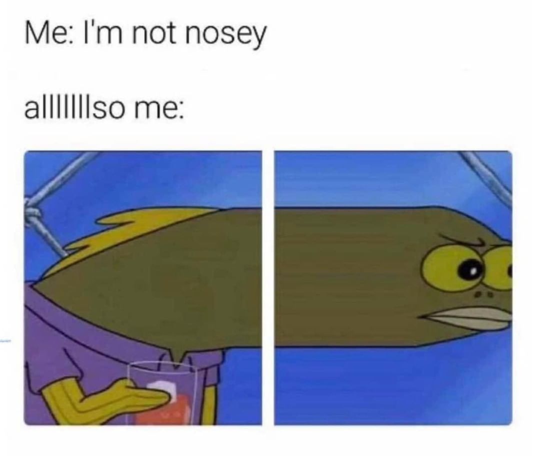 me-i-m-not-nosey-alllllllso-me-funny