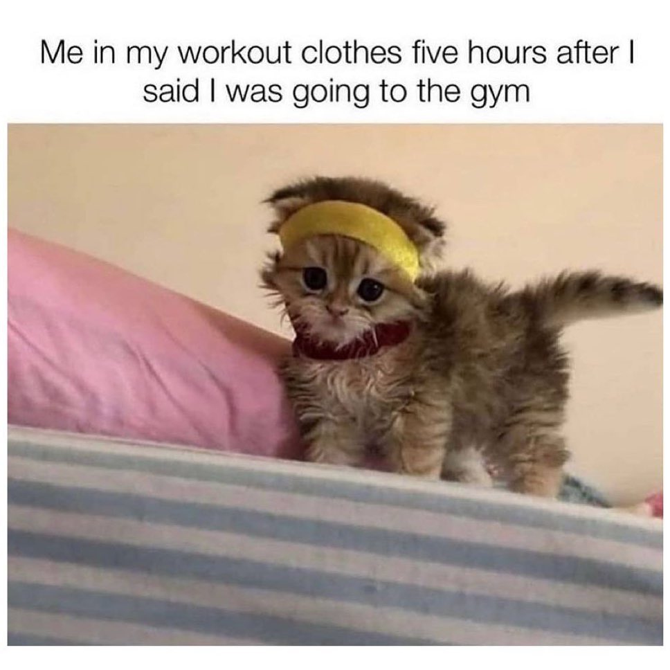 Me in my workout clothes five hours after I said I was going to the gym.