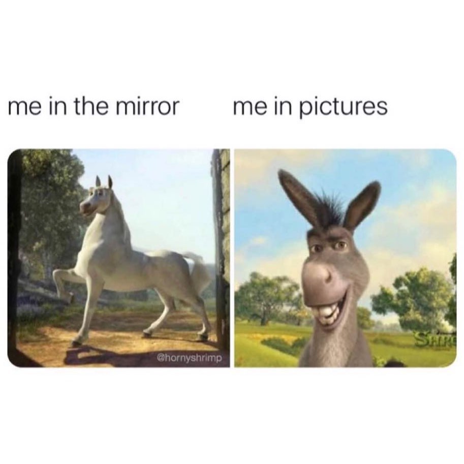 Me in the mirror. Me in pictures.