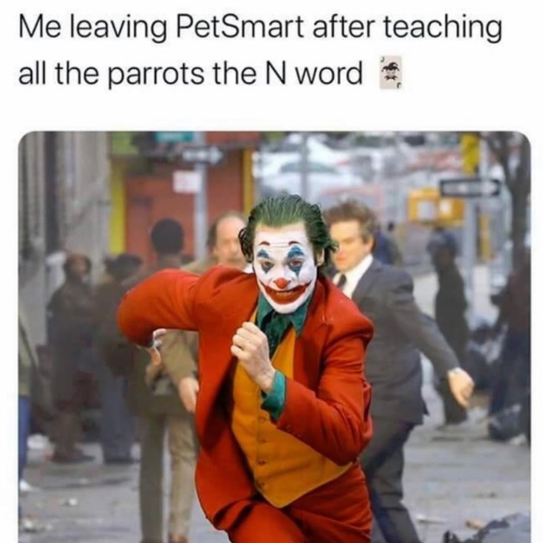Me leaving PetSmart after teaching all the parrots the N word. - Funny