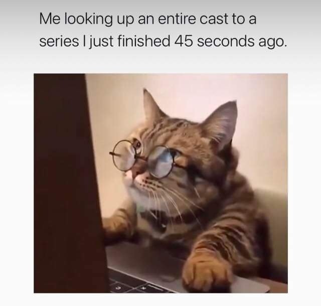 Me looking up an entire cast to a series I just finished 45 seconds ago.