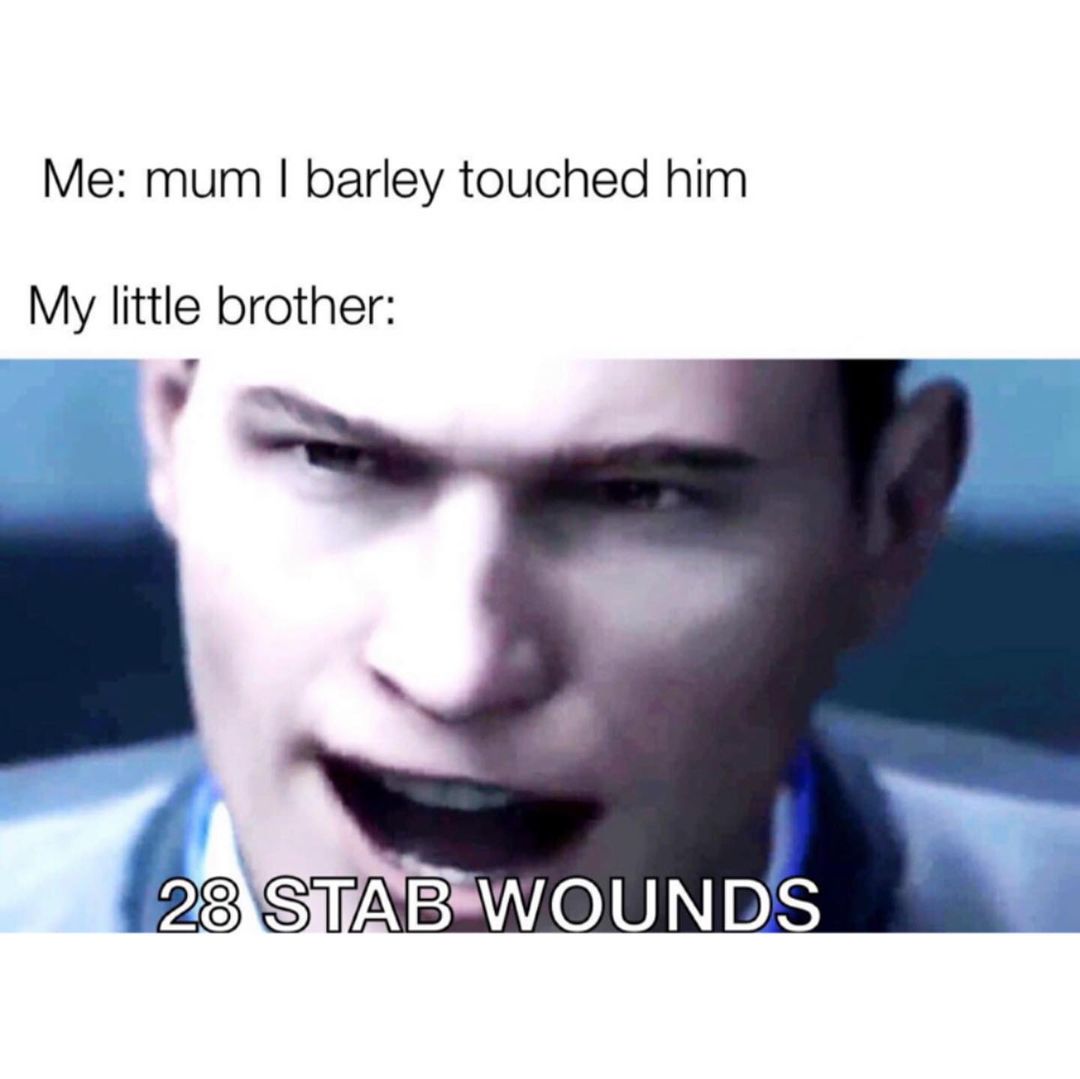 Me: Mum I barley touched him. My little brother: 28 stab wounds.