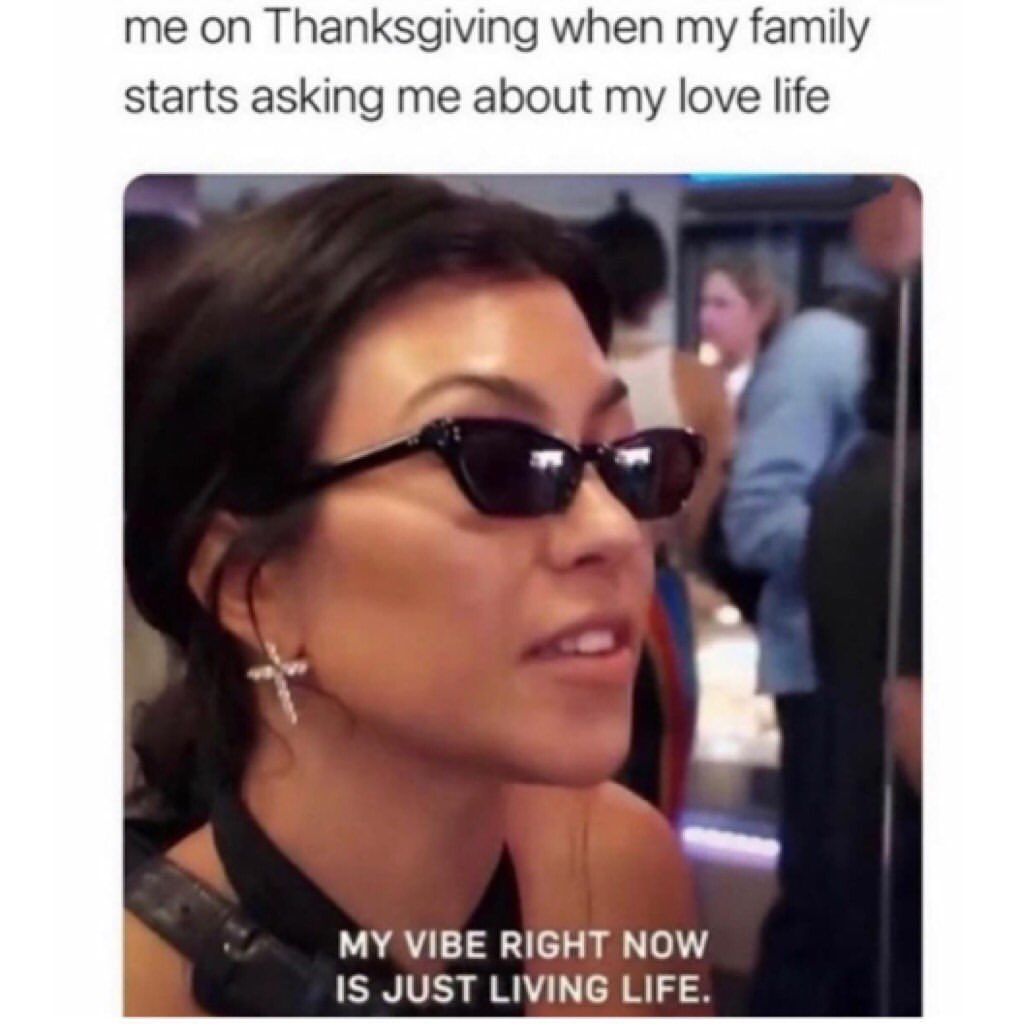 Me on Thanksgiving when my family starts asking me about my love life: My vibe right now is just living life.