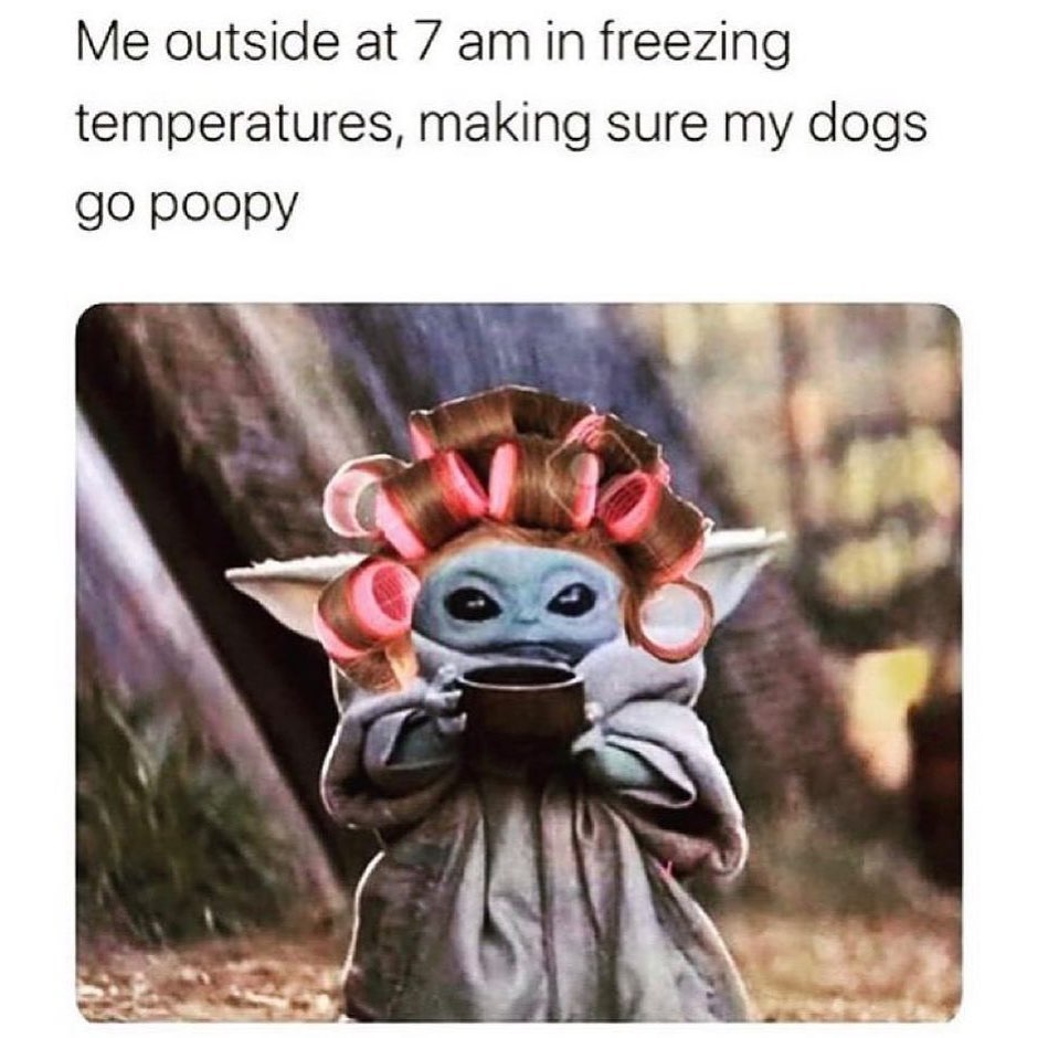 Me outside at 7 am in freezing temperatures, making sure my dogs go poopy.