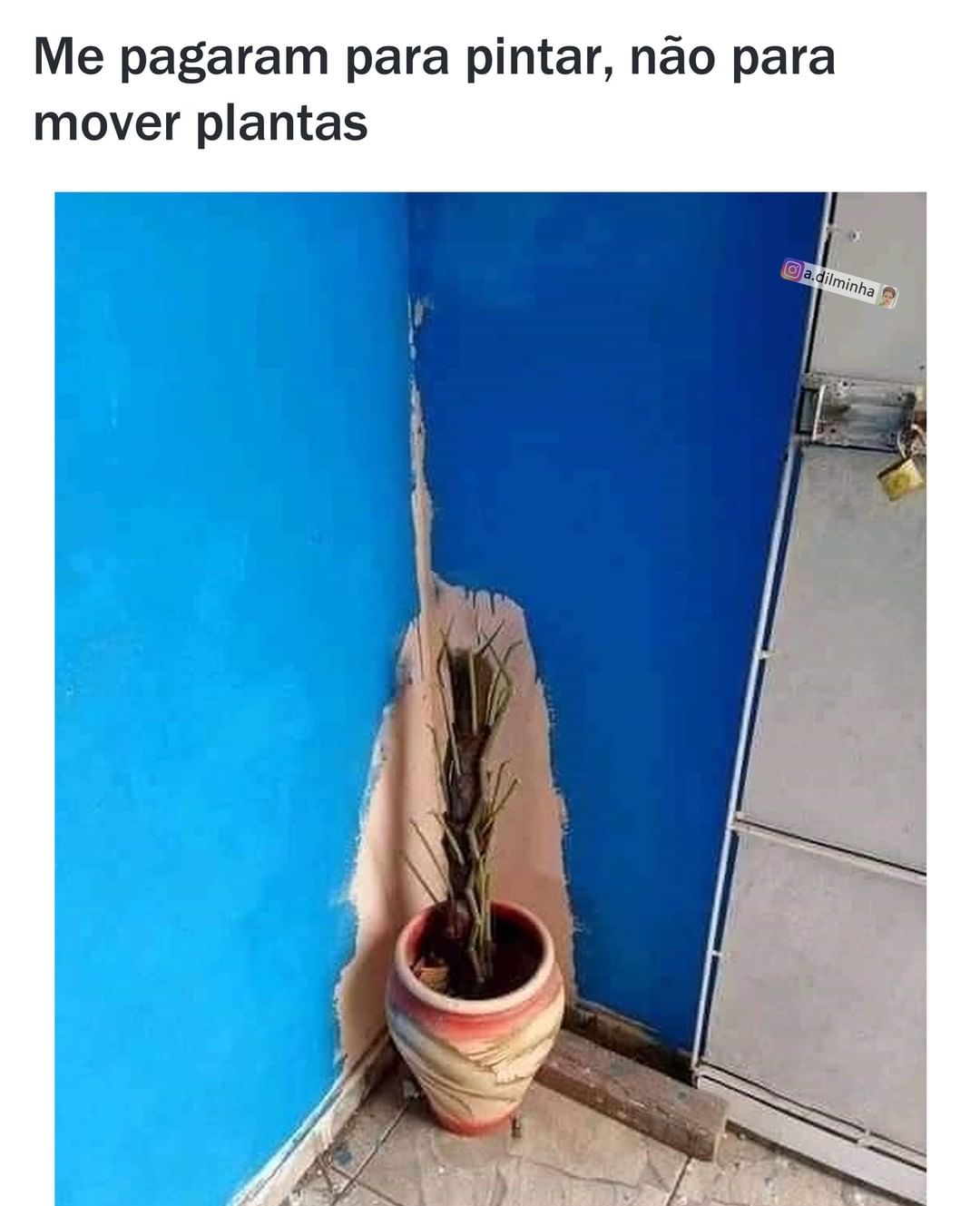 Me pagaram para pintar, não para mover plantas.