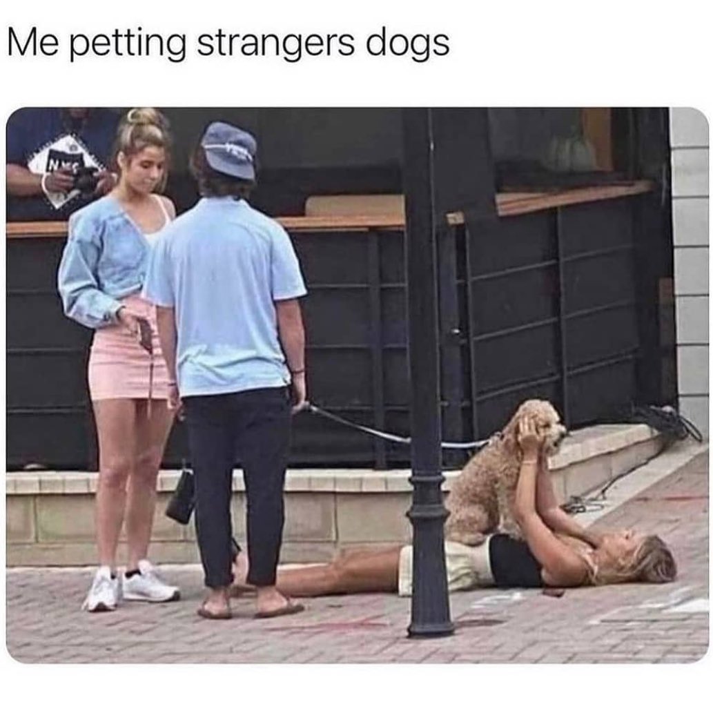 Me petting strangers dogs.