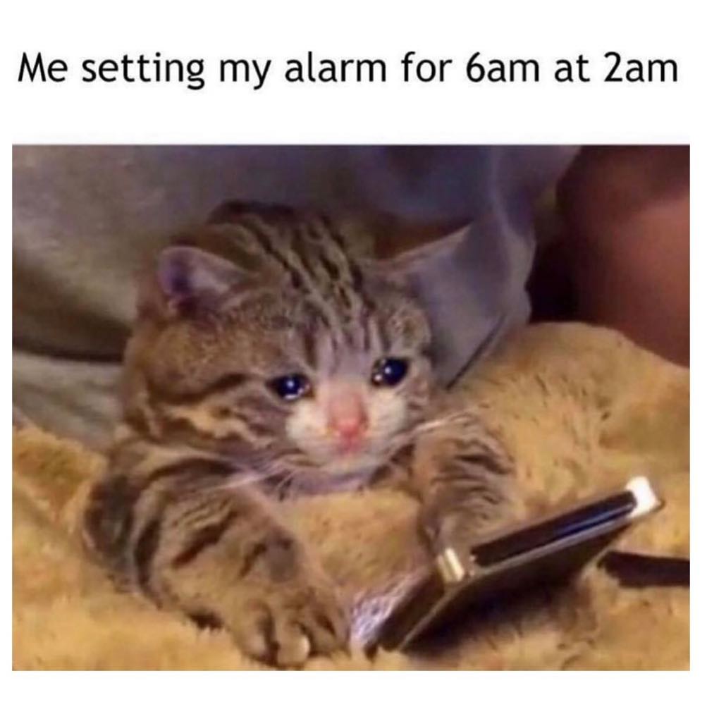 Me setting my alarm for 6am at 2am.