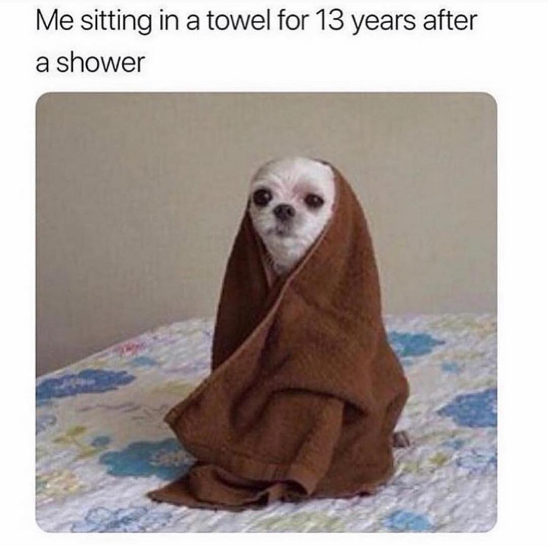 Me sitting in a towel for 13 years after a shower.