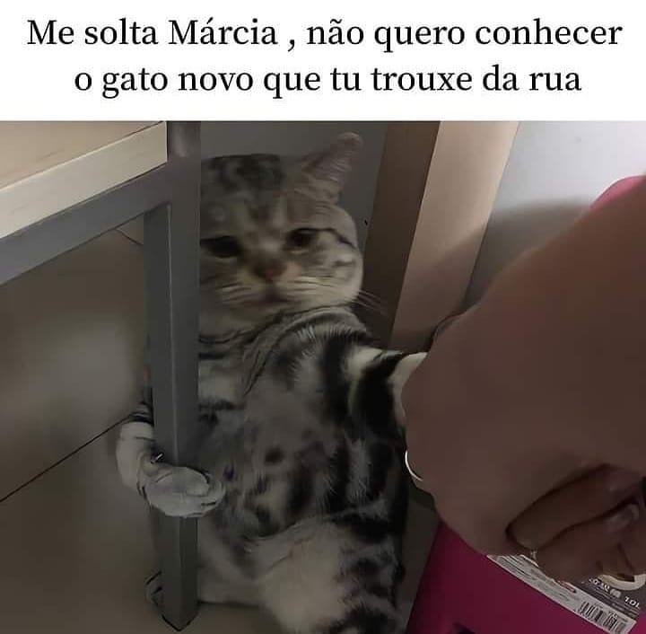 Quando você está contando algo para sua mãe e você lembra que ela não sabia que você estava