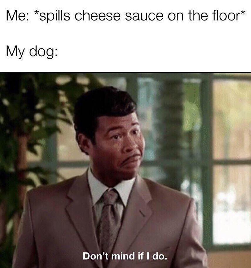 Me: *spills cheese sauce on the floor*  My dog: Don't mind if I do.