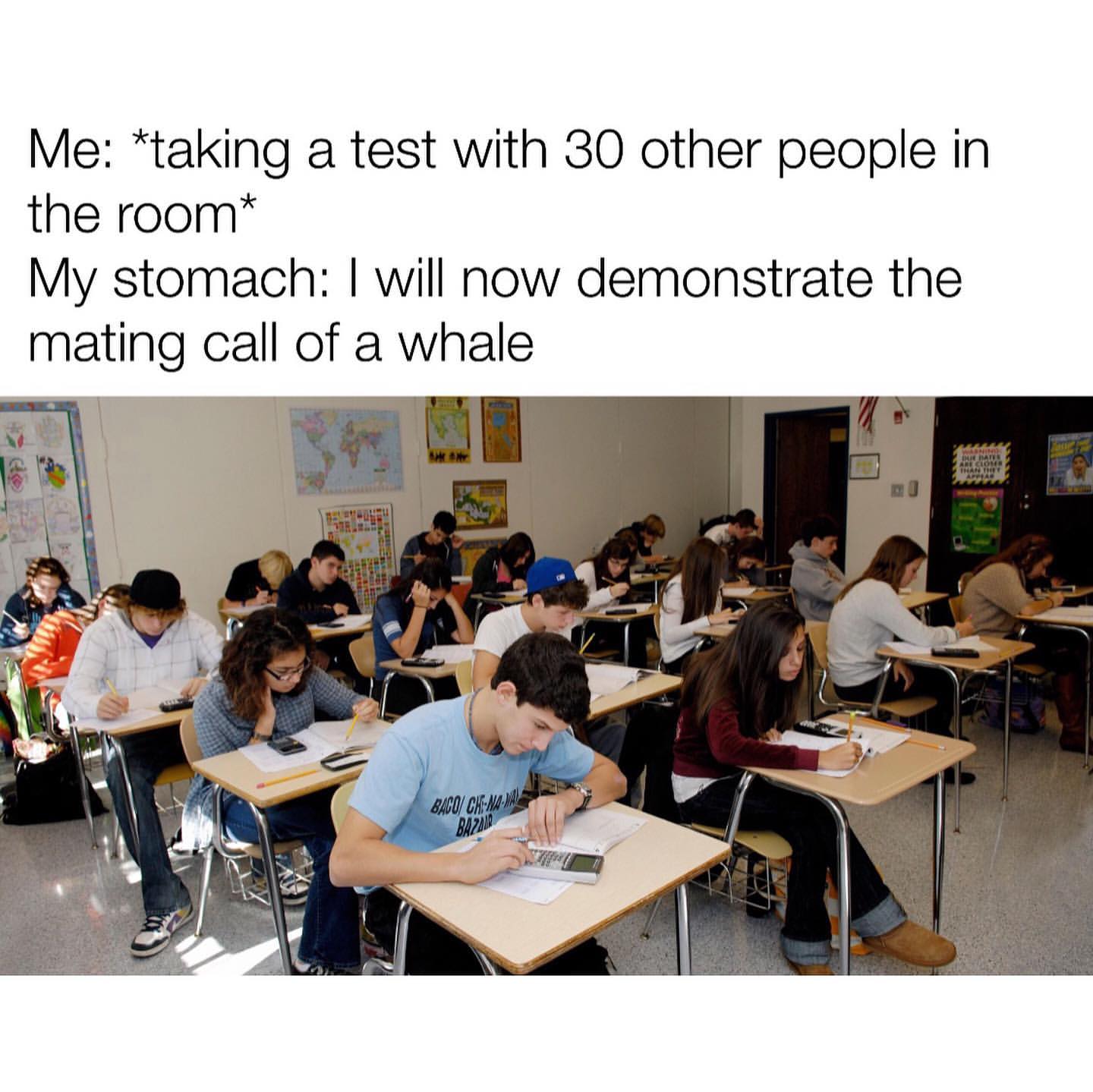 Me: *taking a test with 30 other people in the room*  My stomach: I will now demonstrate the mating call of a whale.