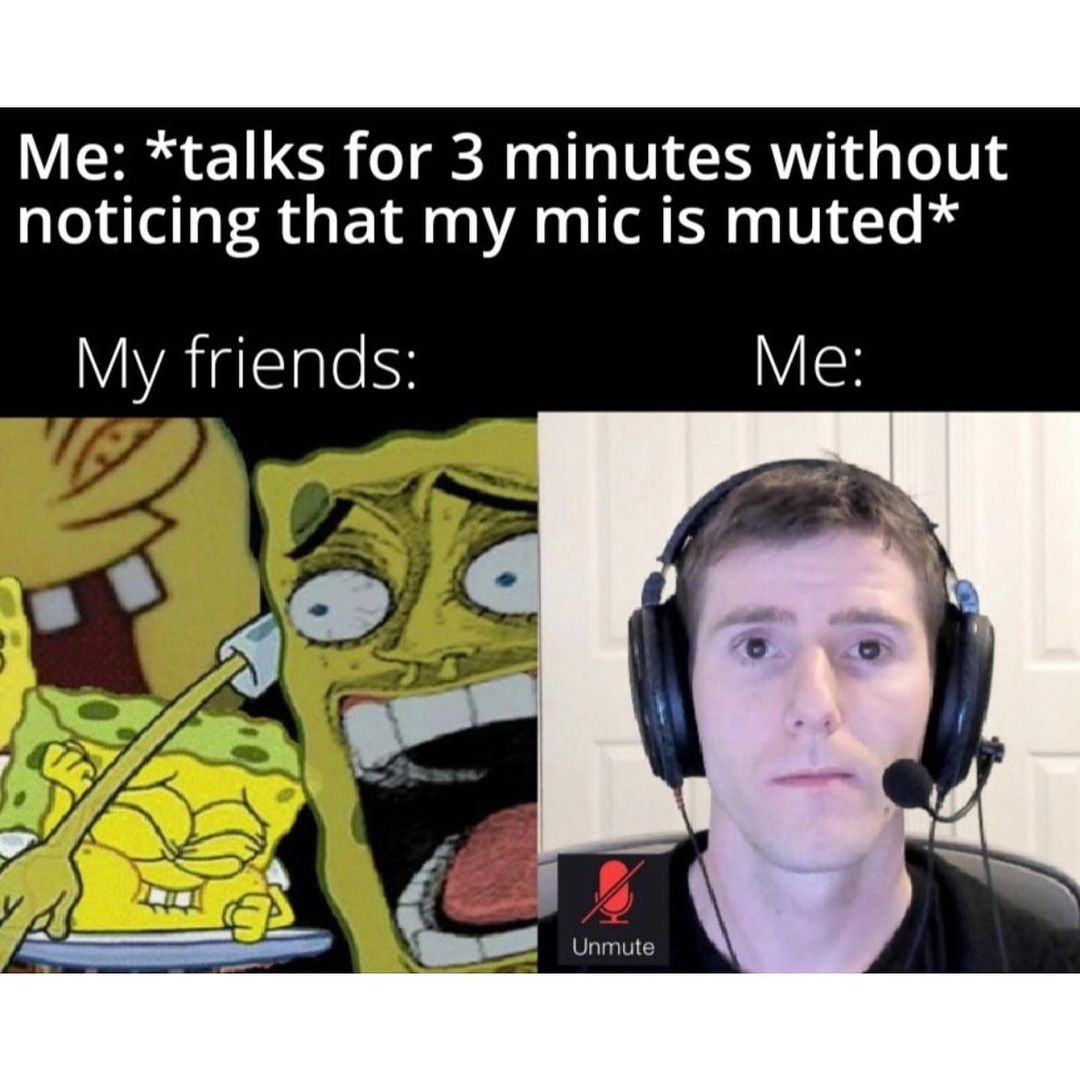 Me: *talks for 3 minutes without noticing that my mic is muted* My friends: Me: Unmute.