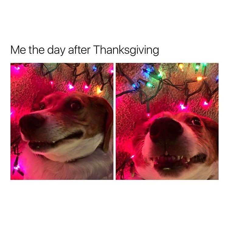 Me The Day After Thanksgiving Funny