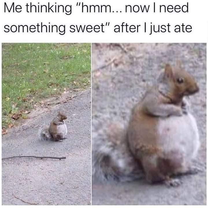Me thinking "hmm... now I need something sweet" after I just ate.
