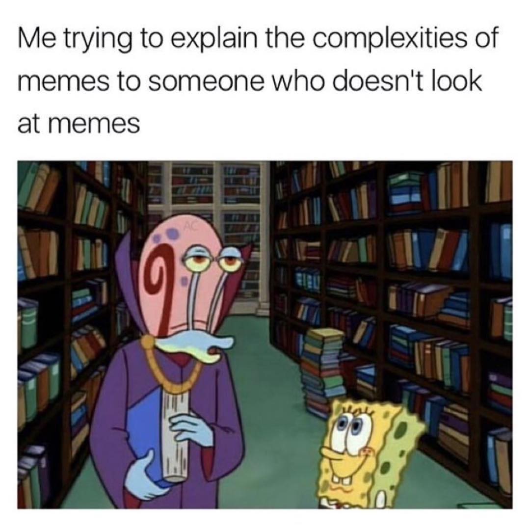Me trying to explain the complexities of memes to someone who doesn't look at memes.