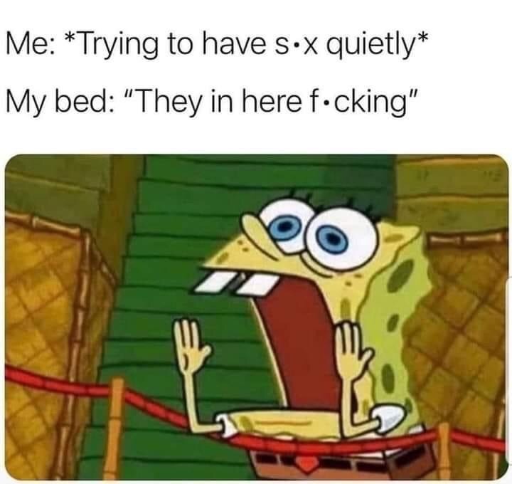 Me: *Trying to have quietly*  My bed: "They in here fcking".