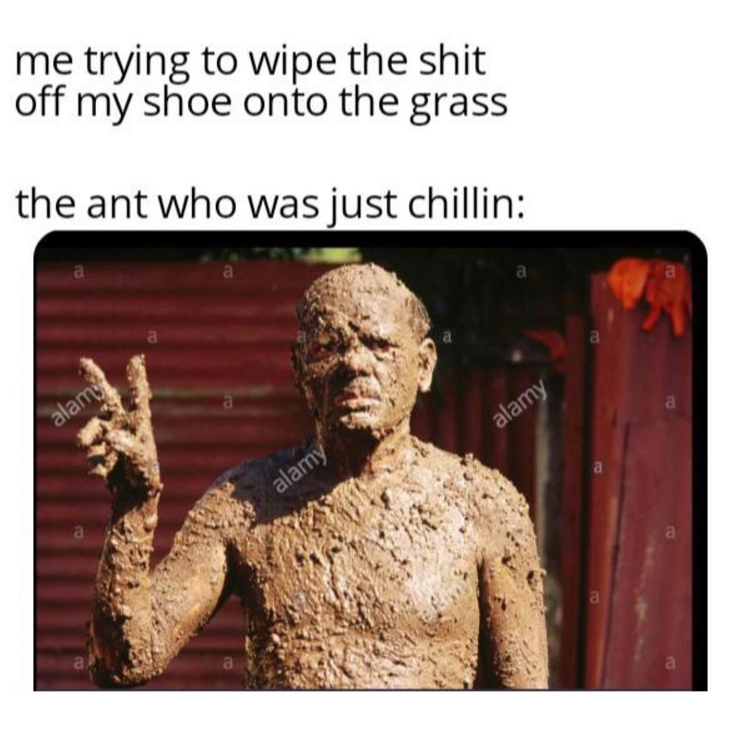 Me trying to wipe the shit off my shoe onto the grass. The ant who was just chillin: