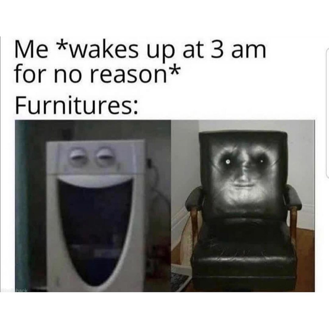 Me *wakes up at 3 am for no reason* Furnitures: