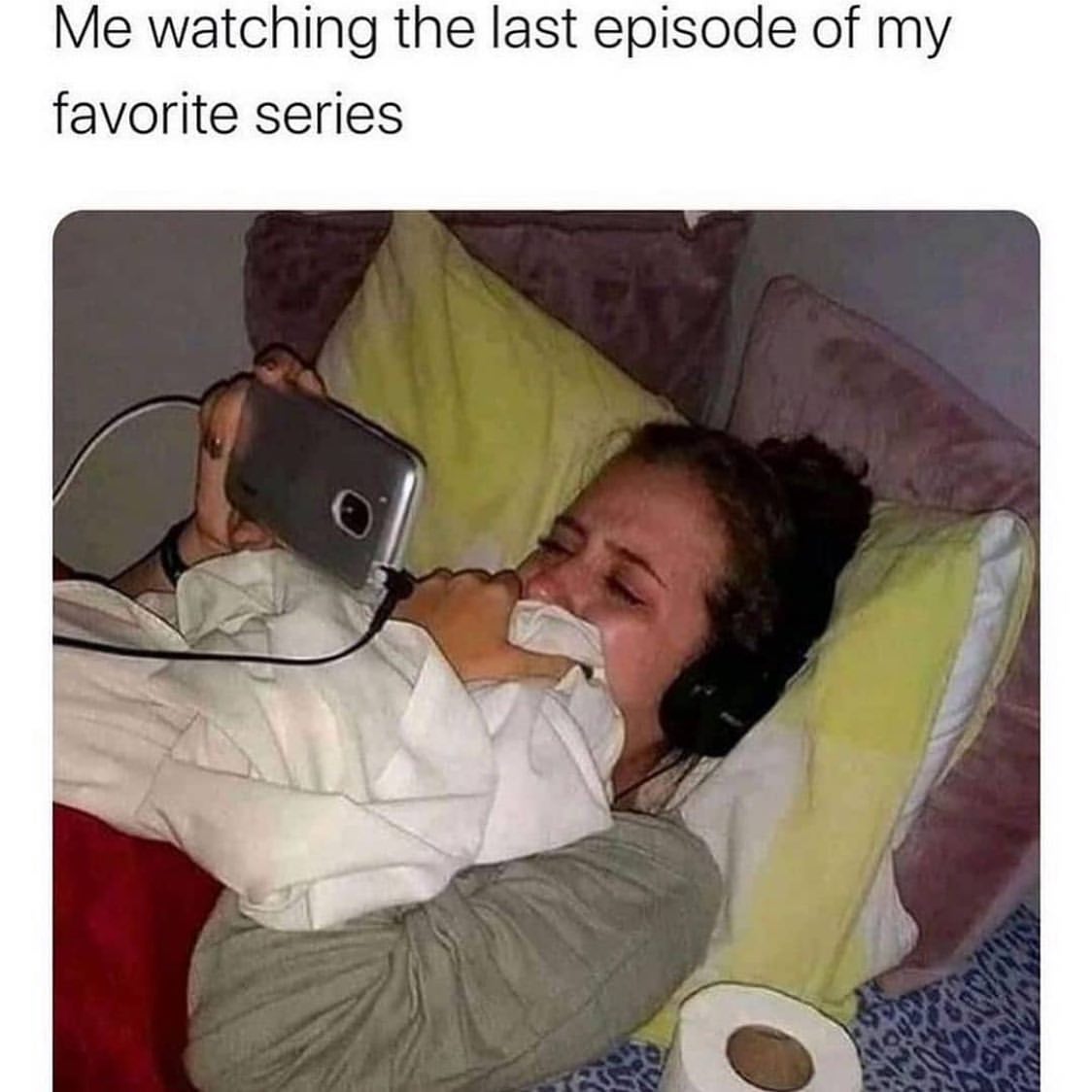 Me watching the last episode of my favorite series. - Funny