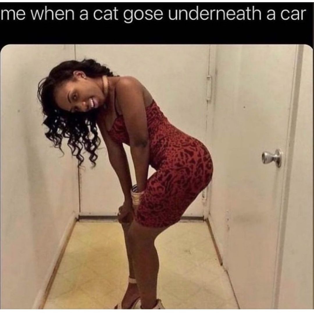 Me when a cat gose underneath a car.