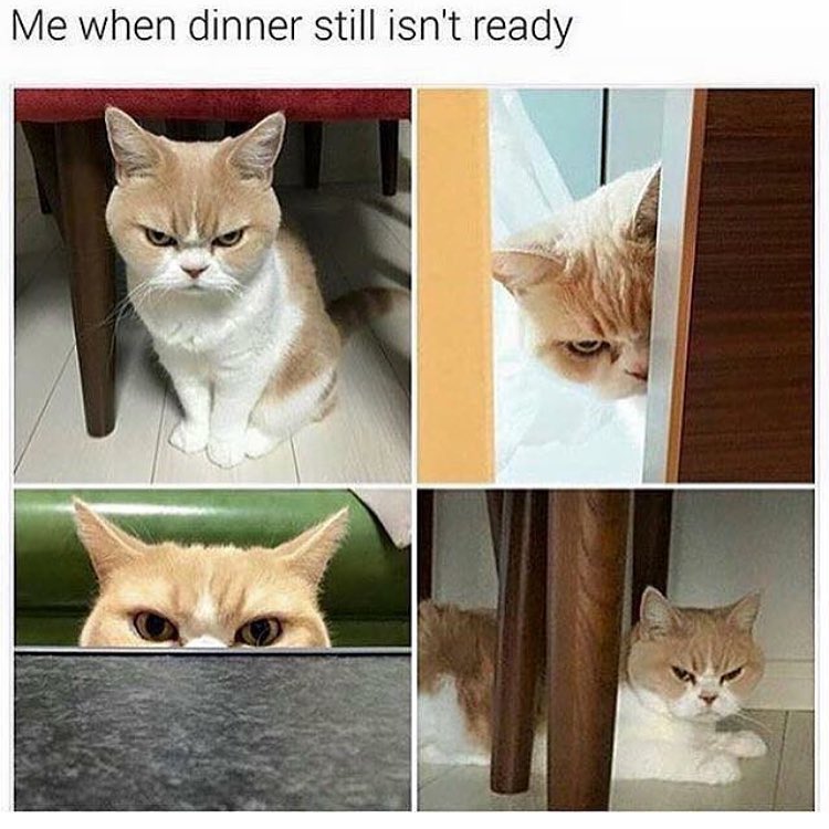 Me when dinner still isn't ready.