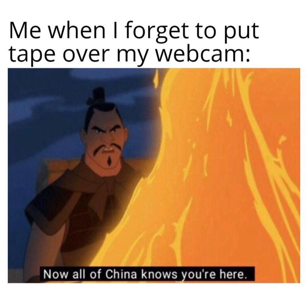 Me when I forget to put tape over my webcam: Now all of China knows you're here.