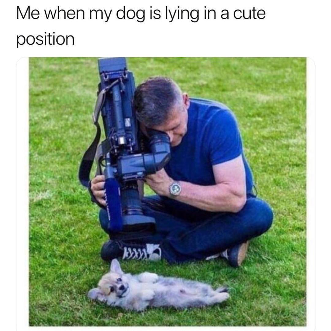 Me when my dog is lying in a cute position.
