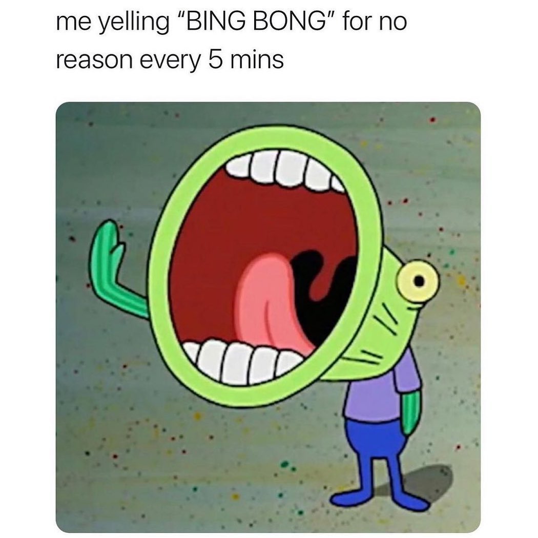 Me yelling "BING BONG" for no reason every 5 mins.