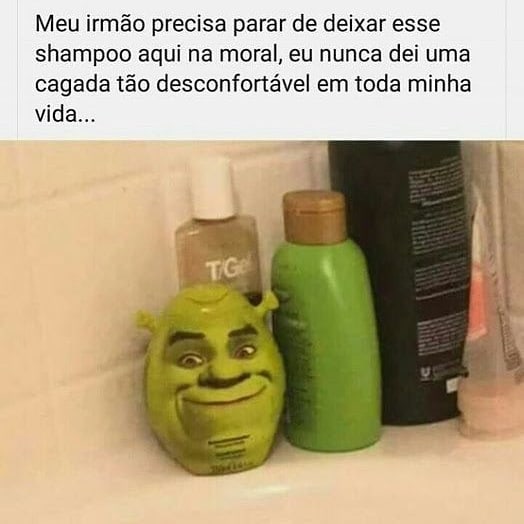 Meu irmão precisa parar de deixar esse shampoo aqui na moral, eu nunca dei uma cagada tão desconfortável em toda minha vida...