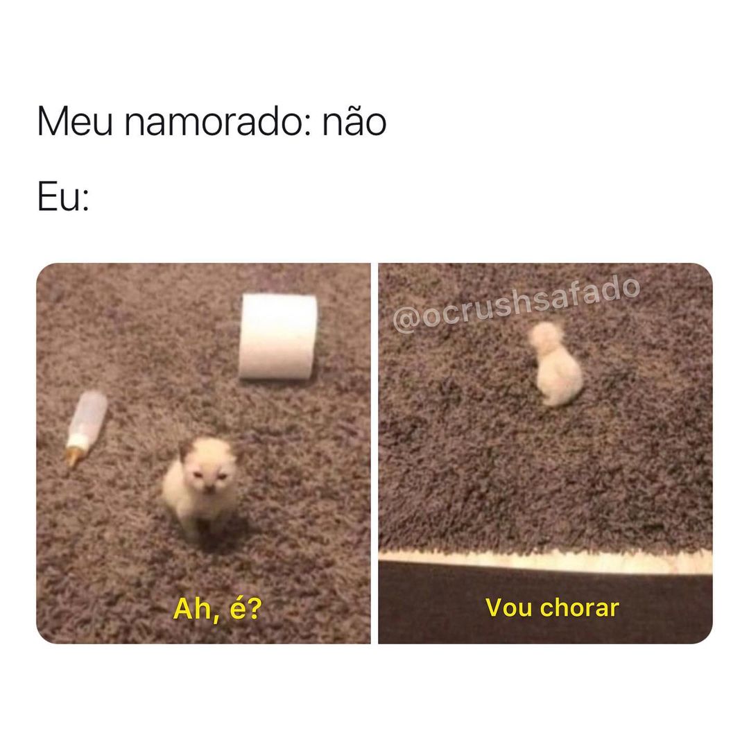 Meu namorado: não.  Eu: Ah, é? Vou chorar.