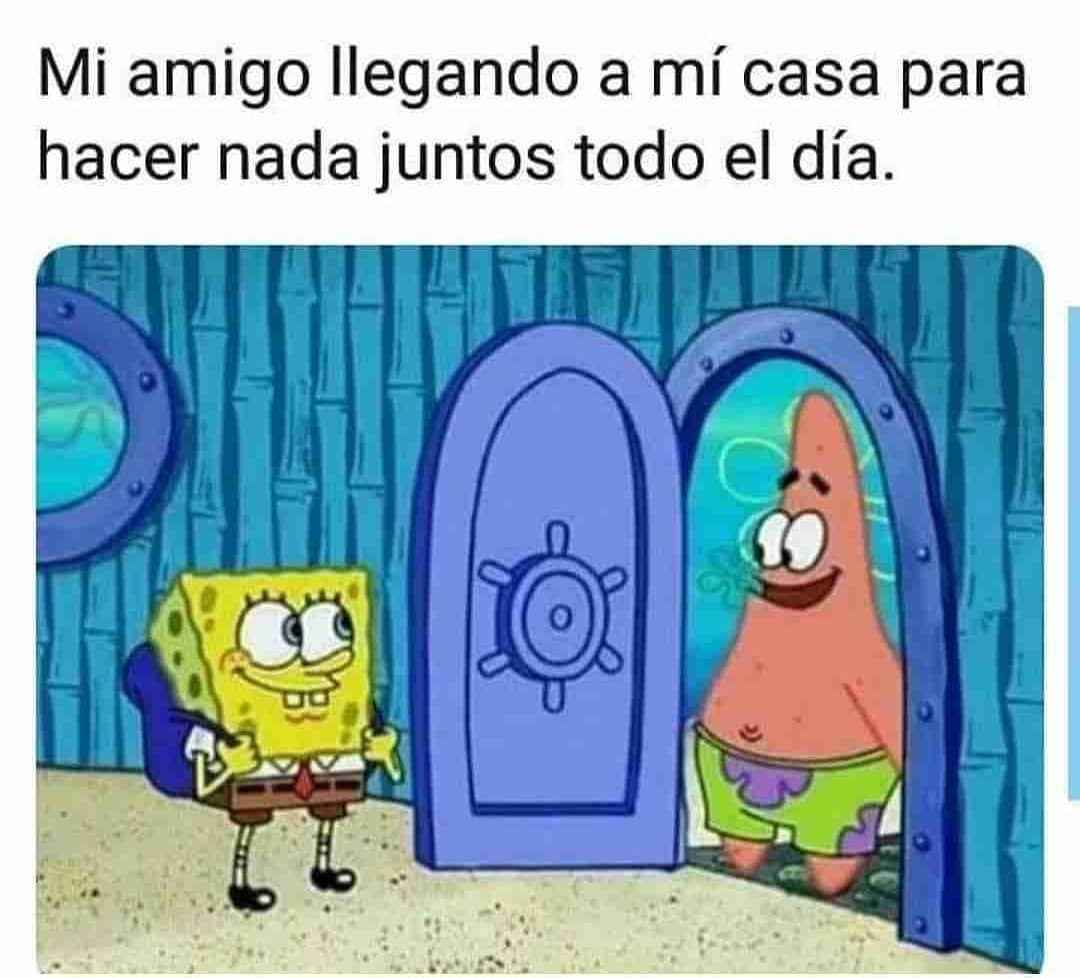 mi-amigo-llegando-a-mi-casa-para-hacer-nada-juntos-todo-el-d-a-memes