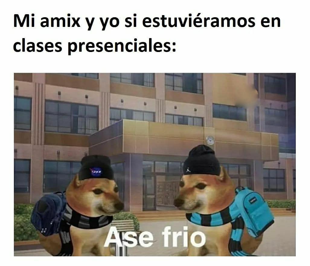 Mi amix y yo si estuviéramos en clases presenciales: Ase frío.