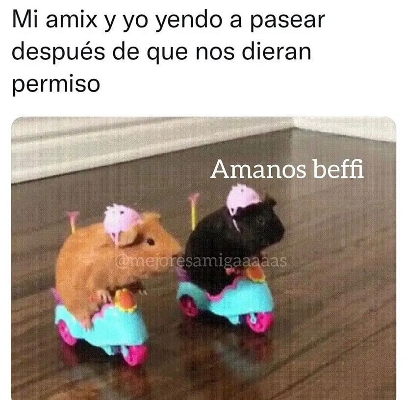 Mi amix y yo yendo a pasear después de que nos dieran permiso. Amanos beffi.