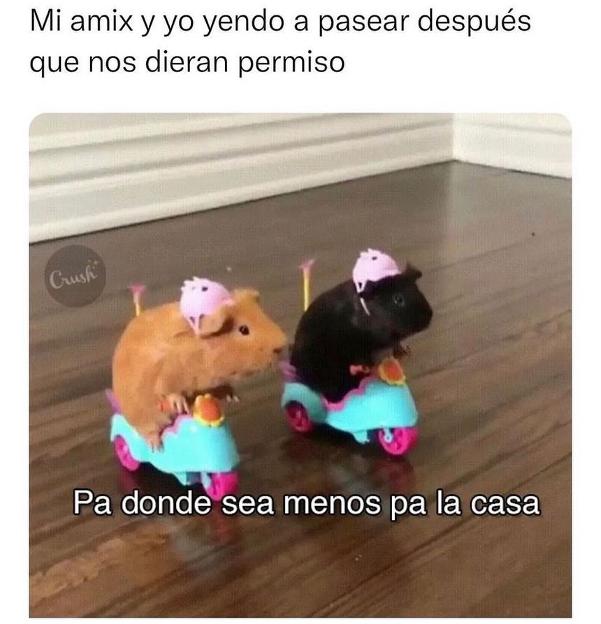 Mi amix y yo yendo a pasear después que nos dieran permiso. Pa donde sea menos pa la casa.