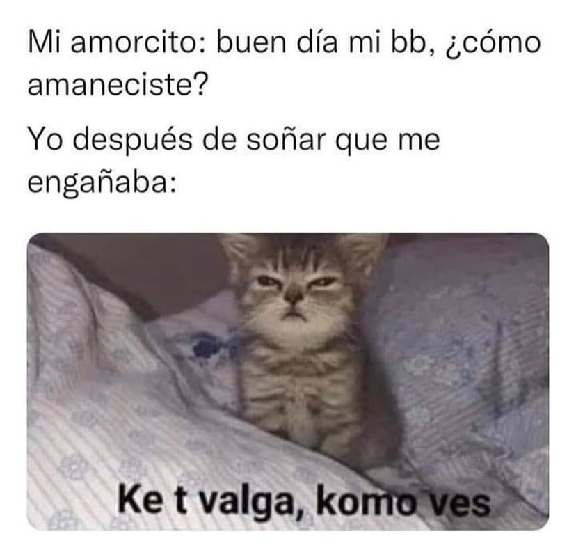 Mi Amorcito Buen Día Mi Bb ¿cómo Amaneciste Yo Después De Soñar Que Me Engañaba Ke T Valga 