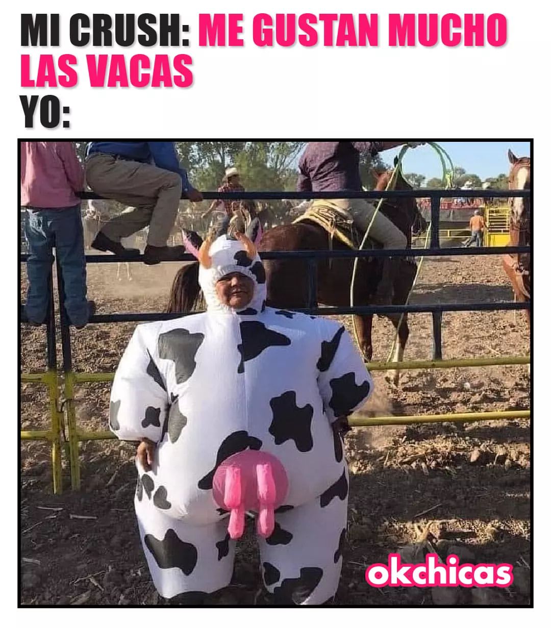 Mi crush: Me gustan mucho las vacas.  Yo: