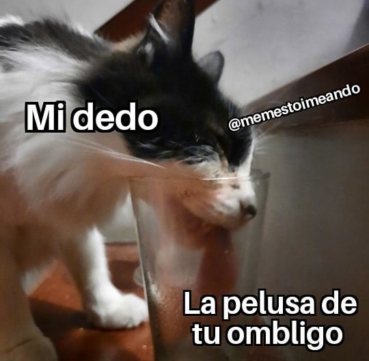 Mi dedo. La pelusa de tu ombligo.