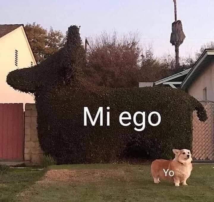 Mi ego. / Yo.