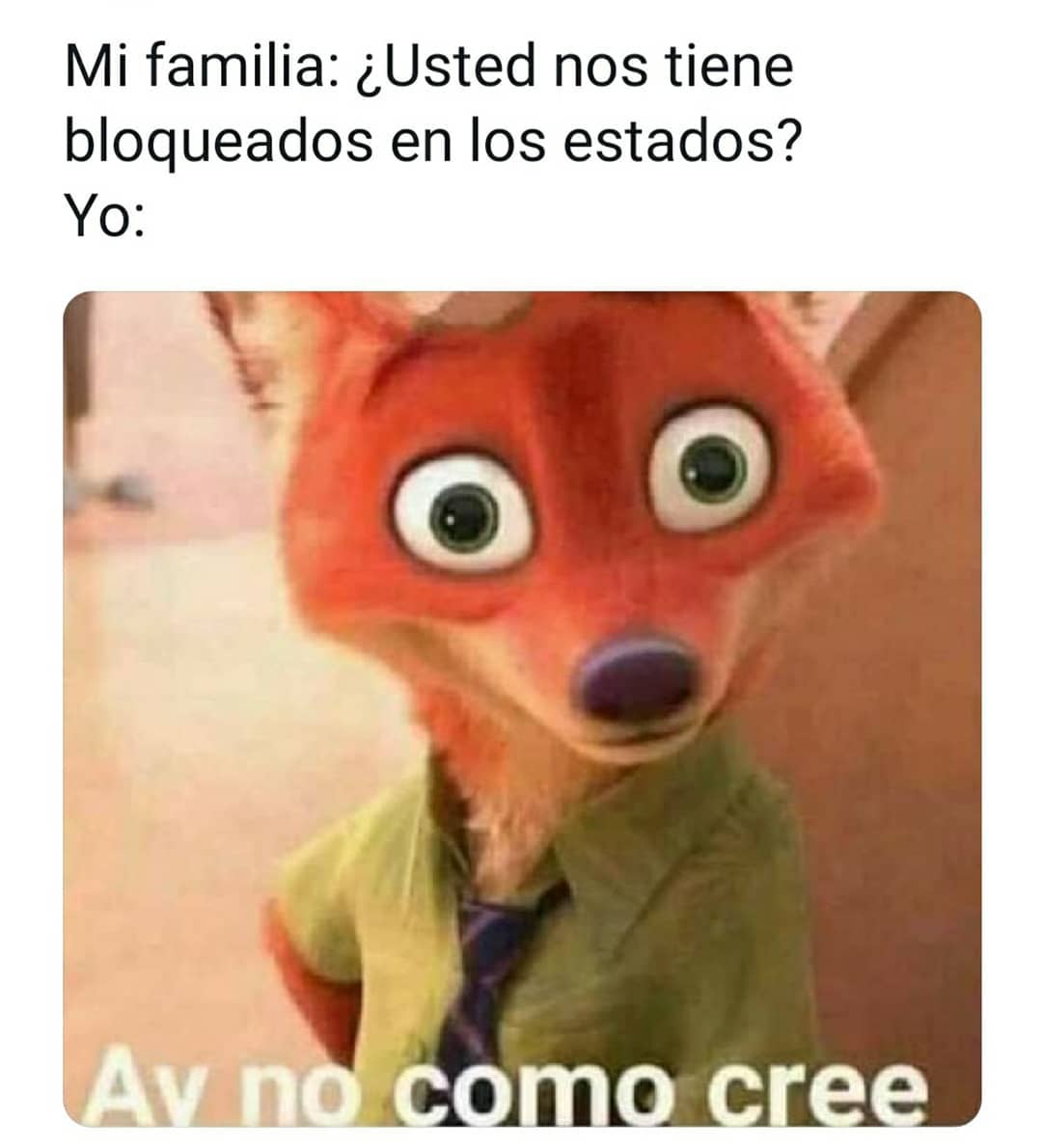 Mi familia: ¿Usted nos tiene bloqueados en los estados?  Yo: Ay n como cree.