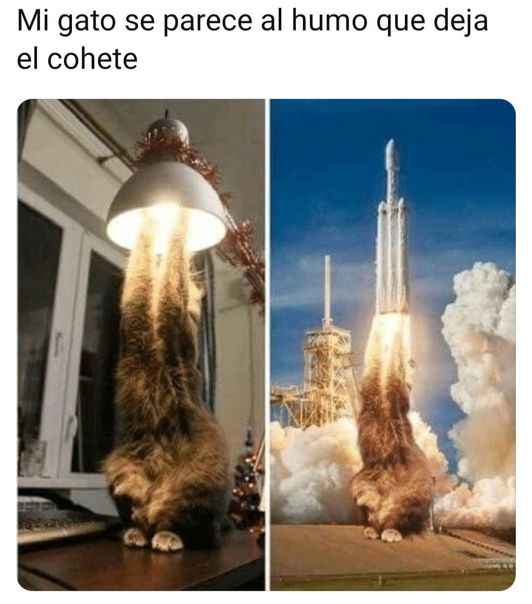 Mi gato se parece al humo que deja el cohete.