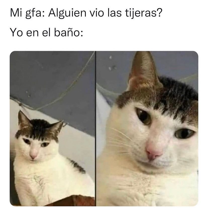 Mi gfa: Alguien vio las tijeras? Yo en el baño: