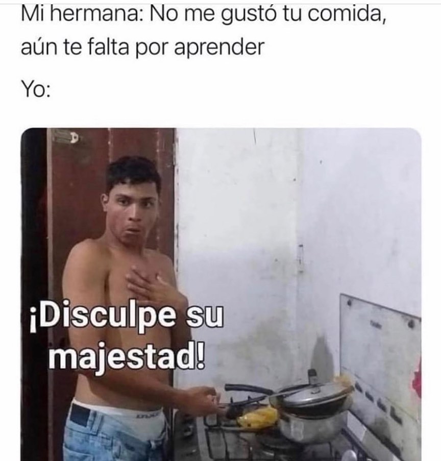 Mi hermana: No me gustó tu comida, aún te falta por aprender.  Yo: ¡Disculpe su majestad!