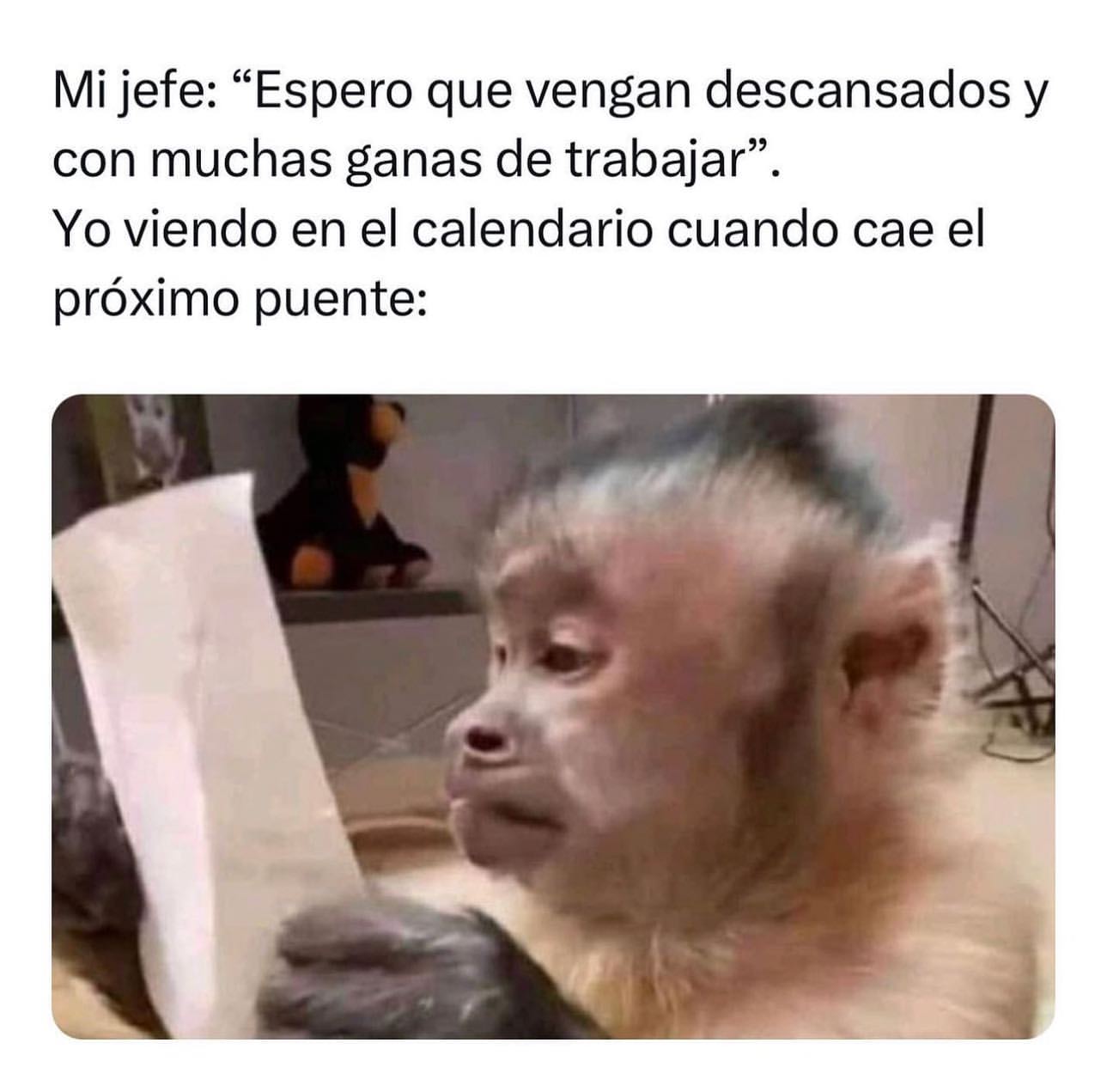 Mi jefe: "Espero que vengan descansados y con muchas ganas de trabajar". Yo viendo en el calendario cuando cae el próximo puente: