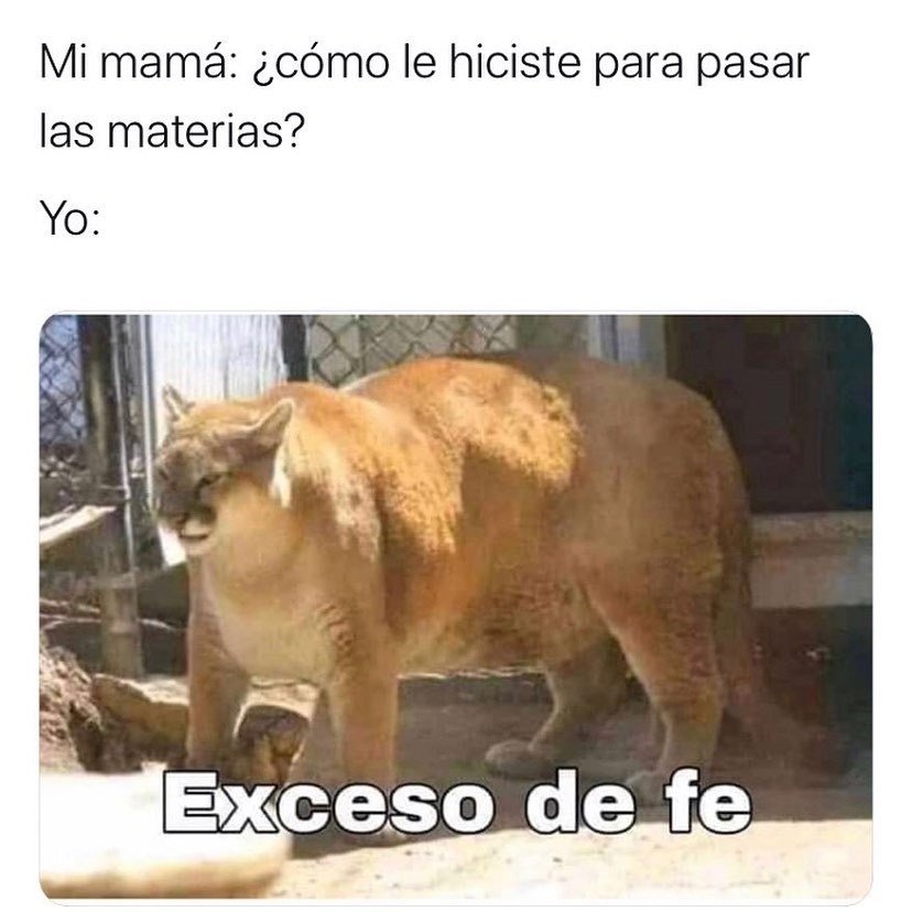 Mi mamá: ¿Cómo le hiciste para pasar las materias? Yo: Exceso de fe.