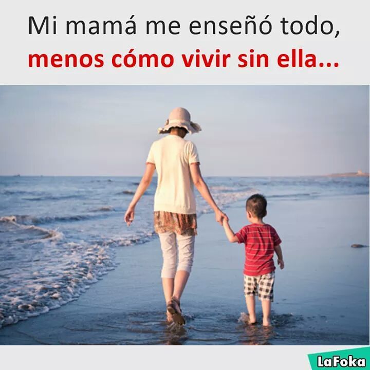 Mi Mamá Me Enseñó Todo Menos Cómo Vivir Sin Ella Memes 