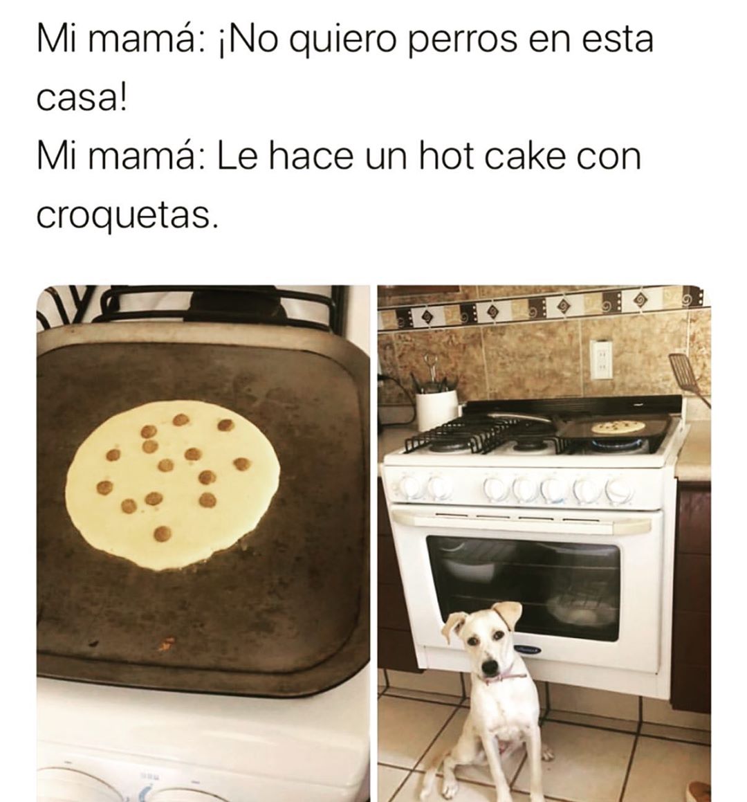 Mi mamá: ¡No quiero perros en esta casa!  Mi mamá: Le hace un hot cake con croquetas.