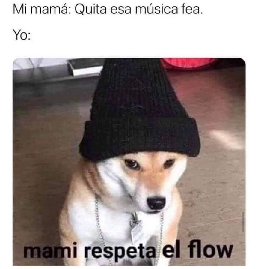 Mi mamá: Quita esa música fea.  Yo: mami respeta el flow.