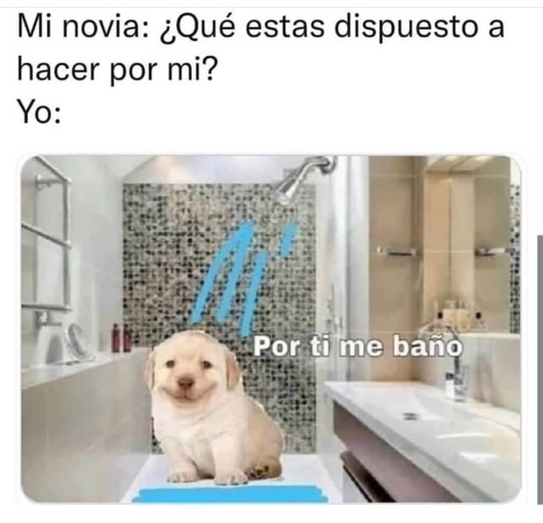 Mi Novia ¿qué Estas Dispuesto A Hacer Por Mi Yo Por Ti Me Baño Memes 7069