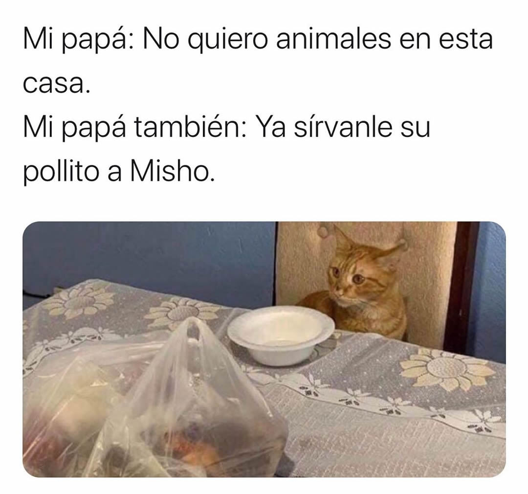 Mi papá: No quiero animales en esta casa.  Mi papá también: Ya sírvanle su pollito a Misho.